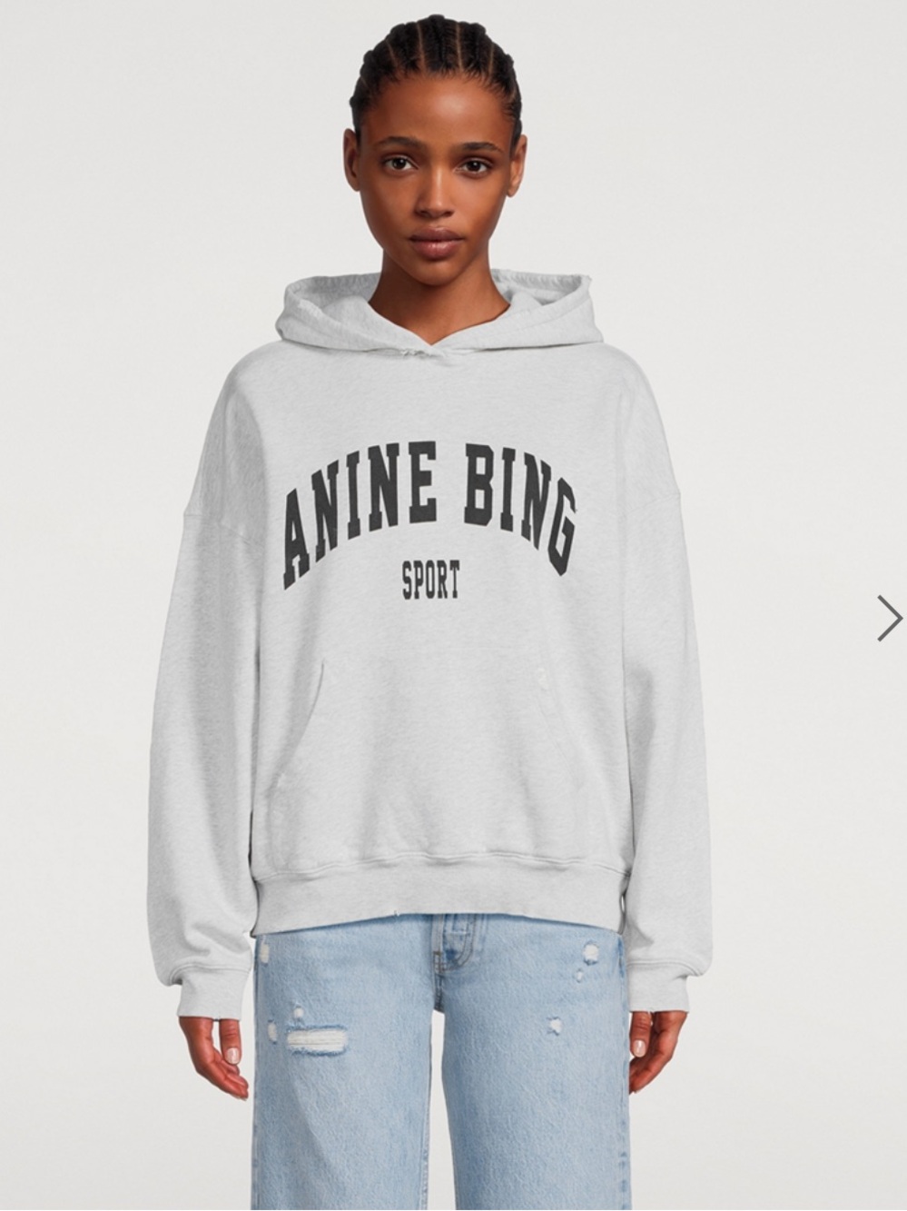 Anine bing harvey sweatshirt